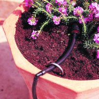 our Hollywood sprinkler installation techs can install micro irrigation systems