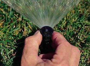 Hollywood FL irrigation repair specialist adjusts a Hunter pop up head